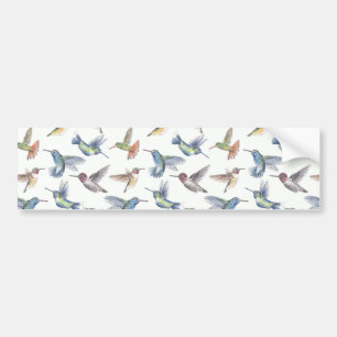Autocollant De Voiture Colibri