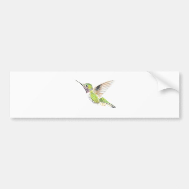 Autocollant De Voiture Colibri (Devant)