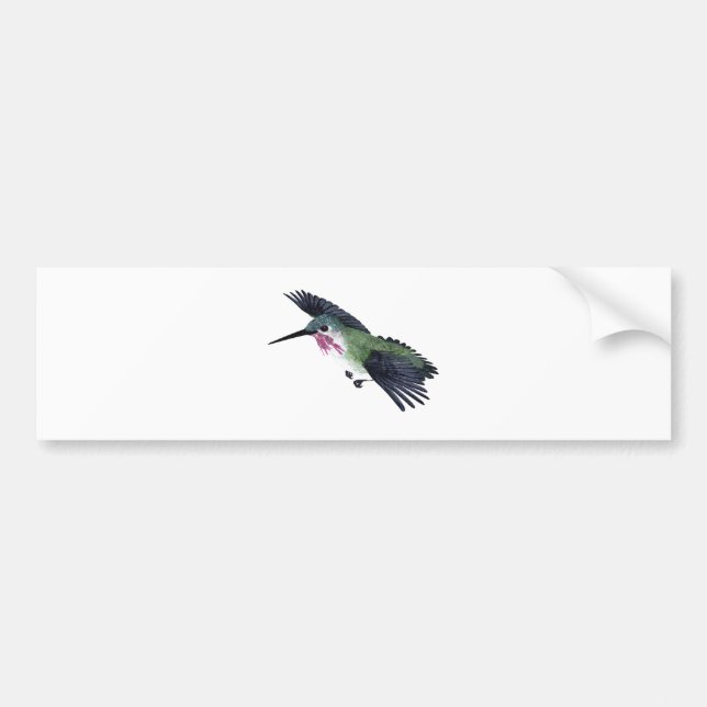 Autocollant De Voiture Colibri de Calliope (Devant)