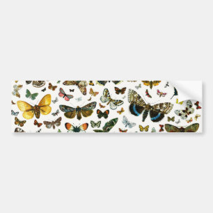 Autocollant De Voiture Collage des papillons de nuit et des papillons de 