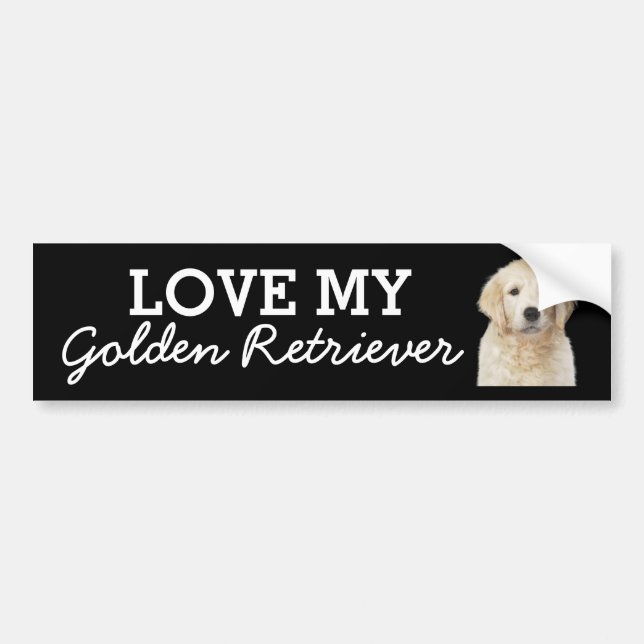 Autocollant De Voiture Colonne de pare-chocs Golden Retriever (Devant)
