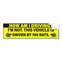 Comment Conduis-Je? 700 Rats au Volant 