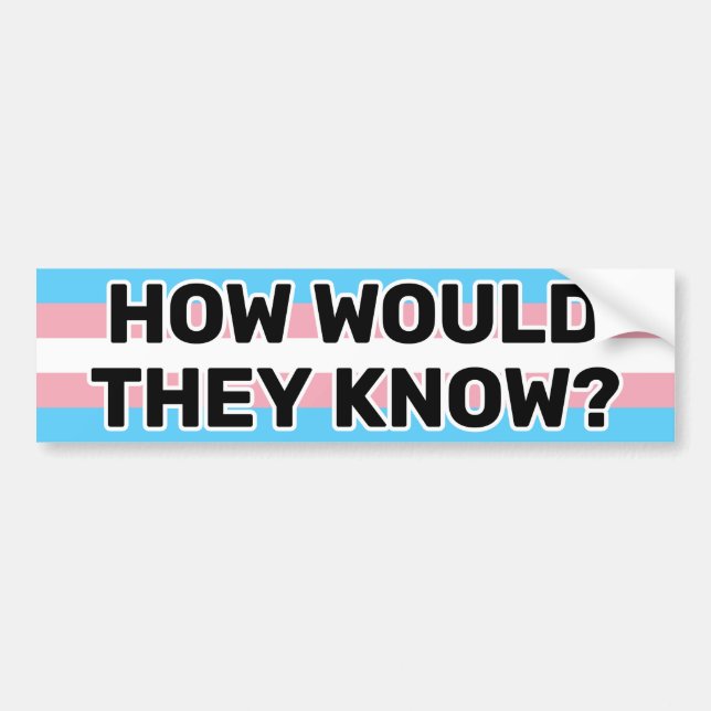 Autocollant De Voiture Comment Connaîtraient-Ils Black Trans Pride Drapea (Devant)