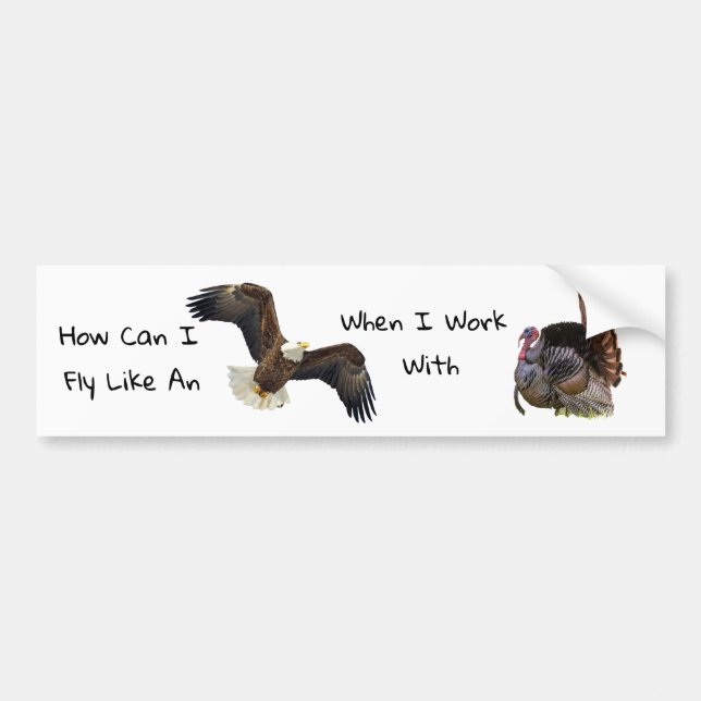 Autocollant De Voiture Comment Puis-Je Voler Comme Un Aigle (Devant)