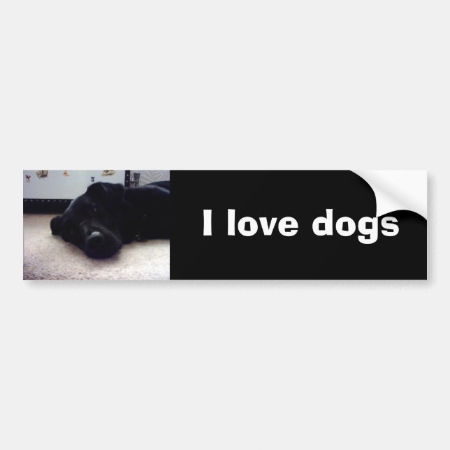 Autocollant De Voiture Copie de Xander 4, j'aime des chiens (Devant)