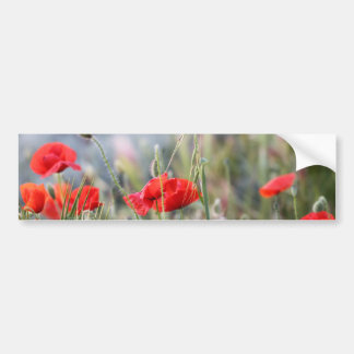 Autocollant De Voiture coquelicot