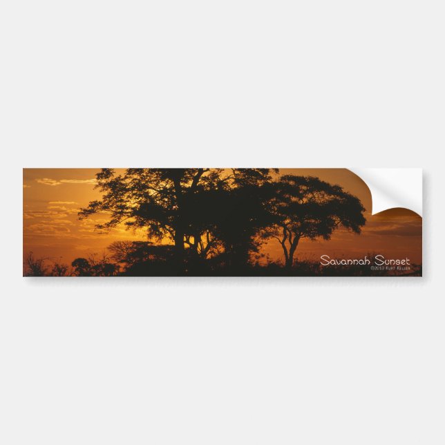 Autocollant De Voiture Coucher de soleil de Savannah (Devant)