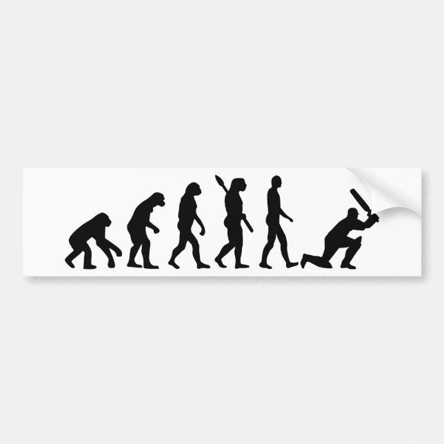 Autocollant De Voiture Cricket d'évolution (Devant)