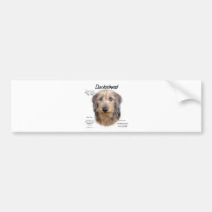 Autocollant De Voiture Dachshund (cheveux filaires)