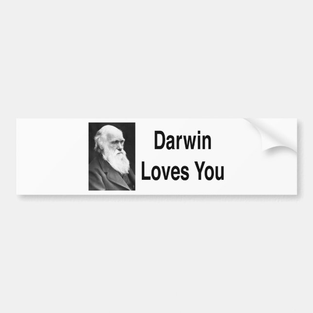 Autocollant De Voiture Darwin vous aime 2 (Devant)