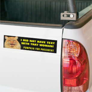 Autocollant De Voiture Des SMS ? Pas ce chat !