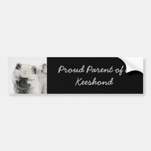 Autocollant De Voiture Dessin Keeshond Chiot - Joli dessin original Chien