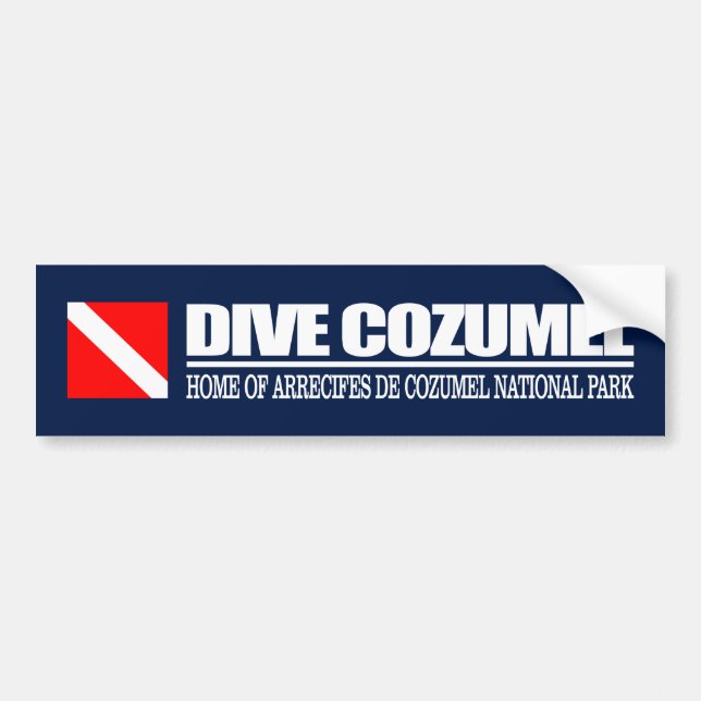 Autocollant De Voiture Didier Cozumel DF2 (Devant)