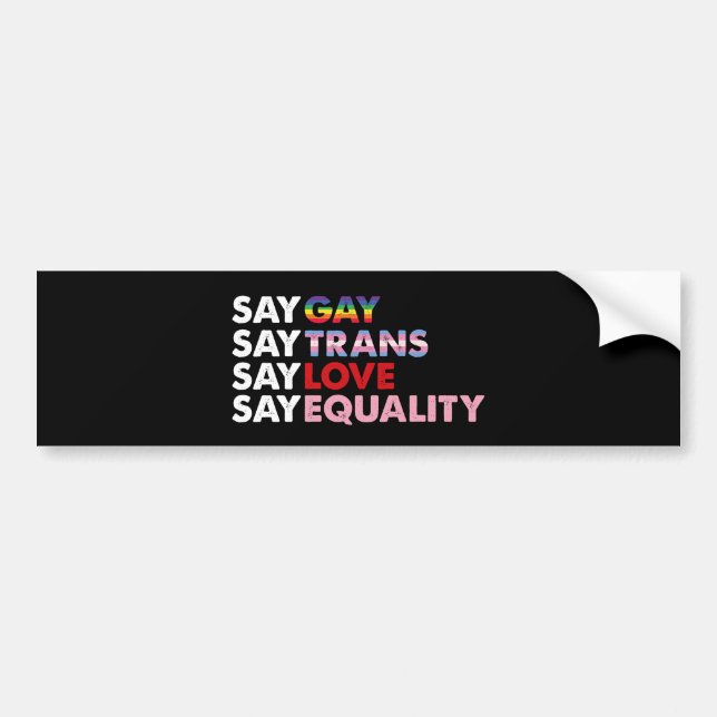 Autocollant De Voiture Dites Gay Dire Trans Dire Amour Dire Égalité Droit (Devant)