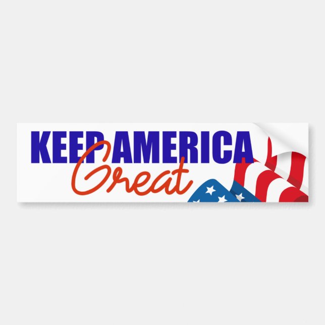 AUTOCOLLANT DE VOITURE DONALD TRUMP 2020 GARDENT LE GRAND DRAPEAU DE (Devant)