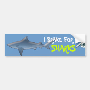 Autocollant De Voiture Donnez à des requins une coupure