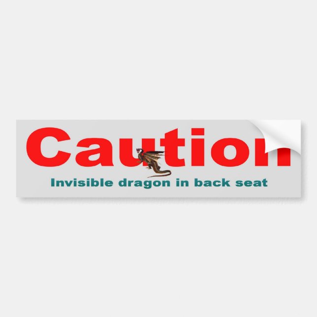 Autocollant De Voiture Dragon invisible (Devant)