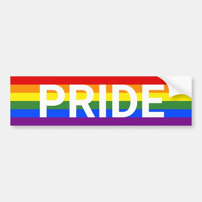 Autocollant De Voiture Drapeau FIDE Rainbow Stripes LGBT (Devant)