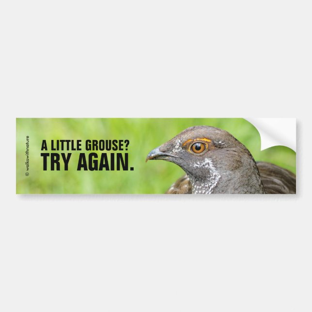 Autocollant De Voiture Drôle Un Petit Grouse ? Essayez à nouveau. (Devant)