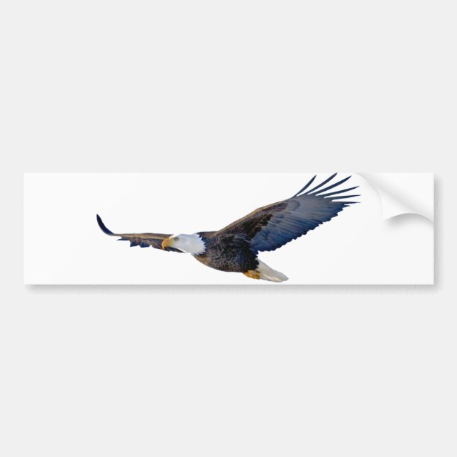 Autocollant De Voiture Eagle chauve montant (Devant)