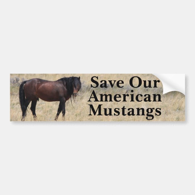 Autocollant De Voiture Économisez Notre Sticker Mustangs Bumper (Devant)