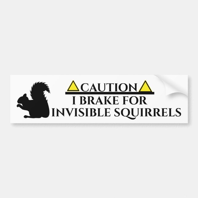 Autocollant De Voiture Écureuil invisible (Devant)