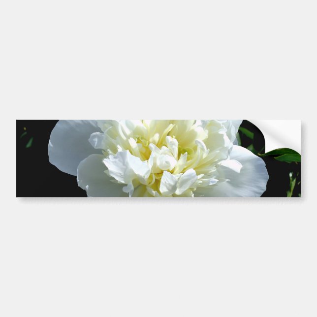 Autocollant De Voiture Elégant blanc peony floral blanc photo (Devant)