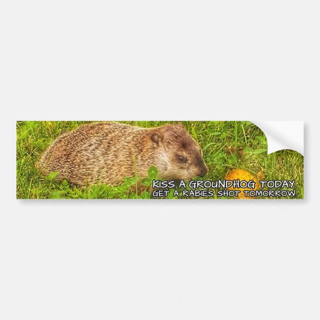 Autocollant De Voiture Embrasse un marmotte aujourd'hui. Obtenir un autoc (Devant)