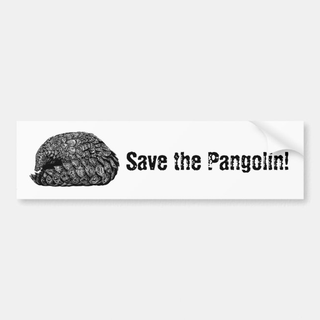 Autocollant De Voiture Enregistrer l'autocollant de pare-chocs Pangolin (Devant)