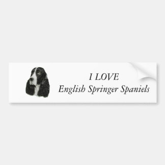Autocollant De Voiture Épagneul de springer anglais