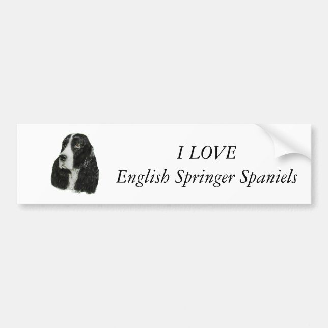 Autocollant De Voiture Épagneul de springer anglais (Devant)