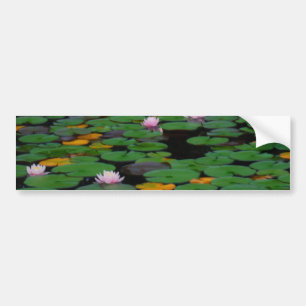 Autocollant De Voiture Etang de fleurs de lys d'eau rose