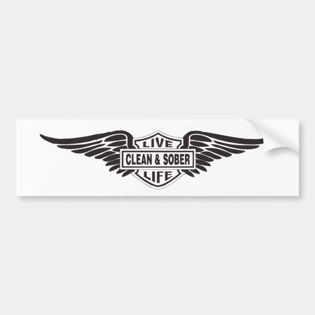 Autocollant De Voiture Étiquette de pare-chocs propre et sobre (Devant)