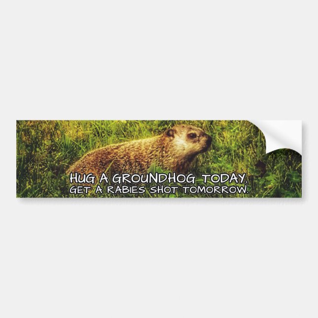 Autocollant De Voiture Étreignez un groundhog aujourd'hui. Attrapez une (Devant)