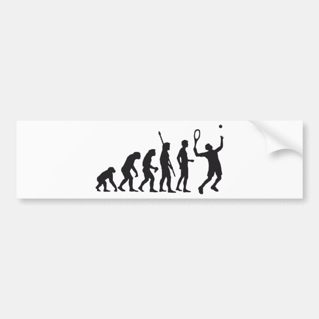 Autocollant De Voiture evolution (Devant)