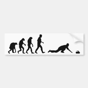 Autocollant De Voiture évolution de bordage