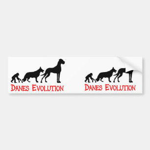 Autocollant De Voiture Évolution des Danois