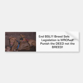 Autocollant De Voiture Extrémité BSL de Bumpersticker