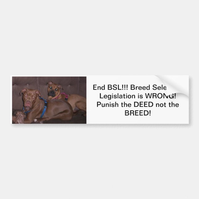 Autocollant De Voiture Extrémité BSL de Bumpersticker (Devant)