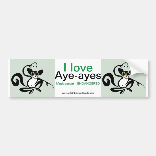 Autocollant De Voiture Faune - I love AYE-AYE - Nature (Devant)