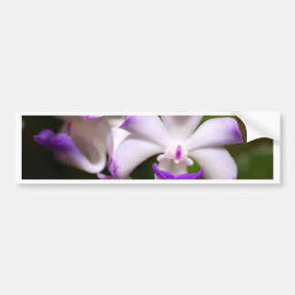 Autocollant De Voiture fermé de la fleur d'orchidée