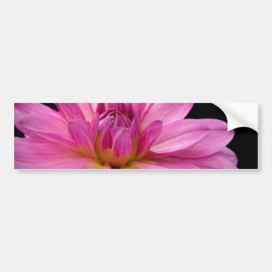 Autocollant De Voiture Figurine de dahlia