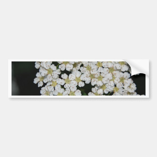 Autocollant De Voiture fleur (Devant)