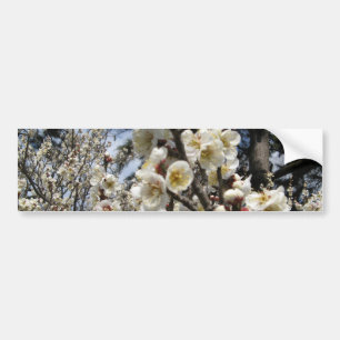 Autocollant De Voiture Fleur de cerisier blanc / Sakura / ク(桜)