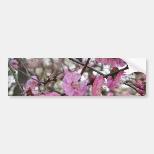 Autocollant De Voiture Fleur de cerisier rose / Sakura / ク(桜)