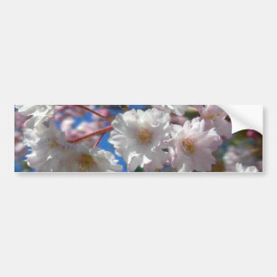 Autocollant De Voiture Fleurs de cerisier
