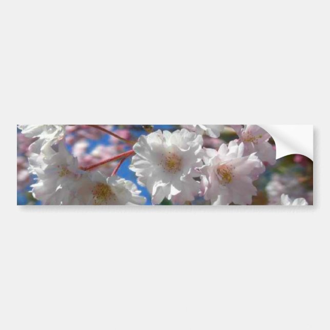 Autocollant De Voiture Fleurs de cerisier (Devant)