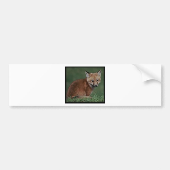 Autocollant De Voiture foxkit (Devant)