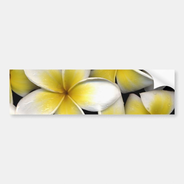 Autocollant De Voiture Frangipani (Devant)