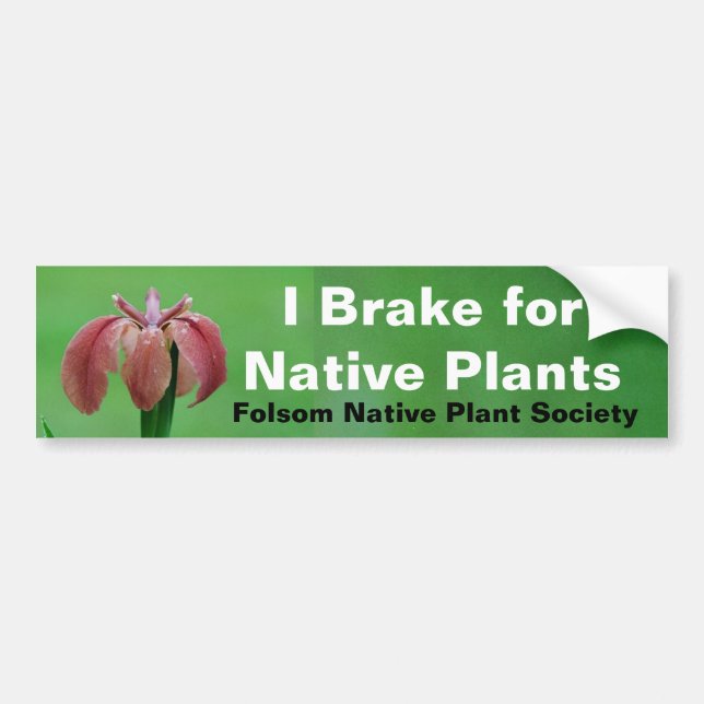 Autocollant De Voiture Frein pour l'adhésif pour pare-chocs de plantes (Devant)